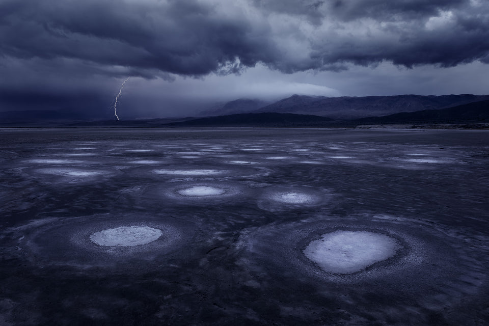 Something Wicked This Way Comes