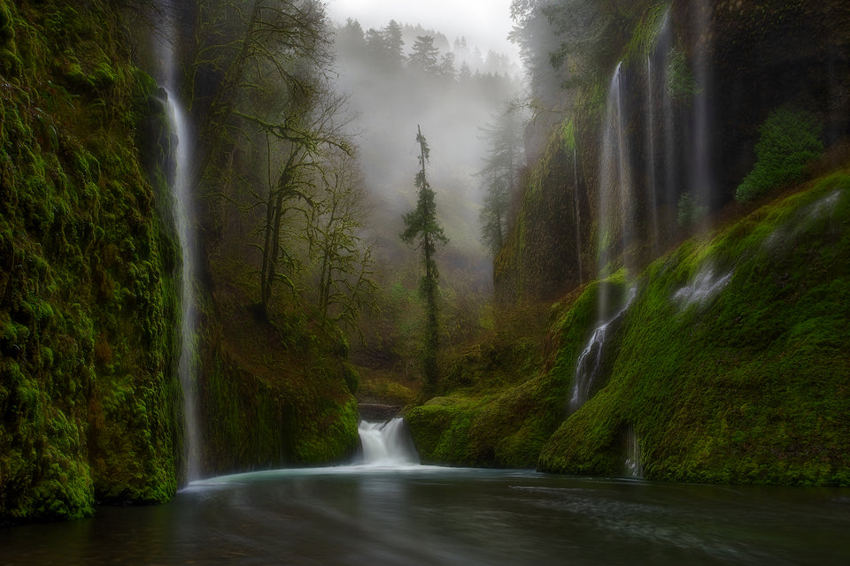 Curtains In The Fog