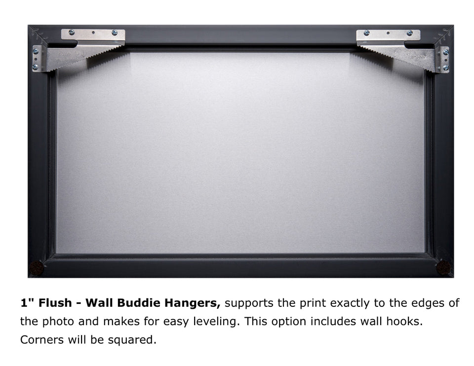 Flush Mount And Hanging Hardware