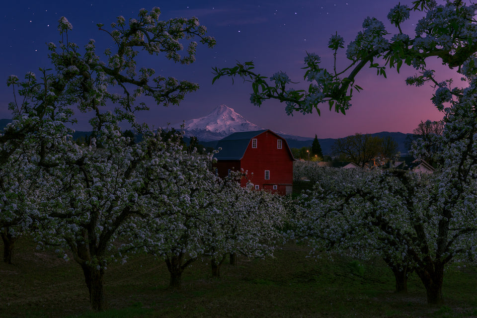 The Oregon Quintessence