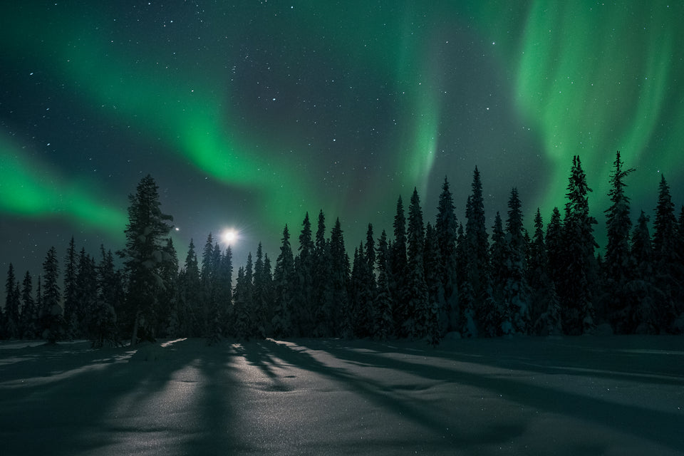 Moonlight Sonata