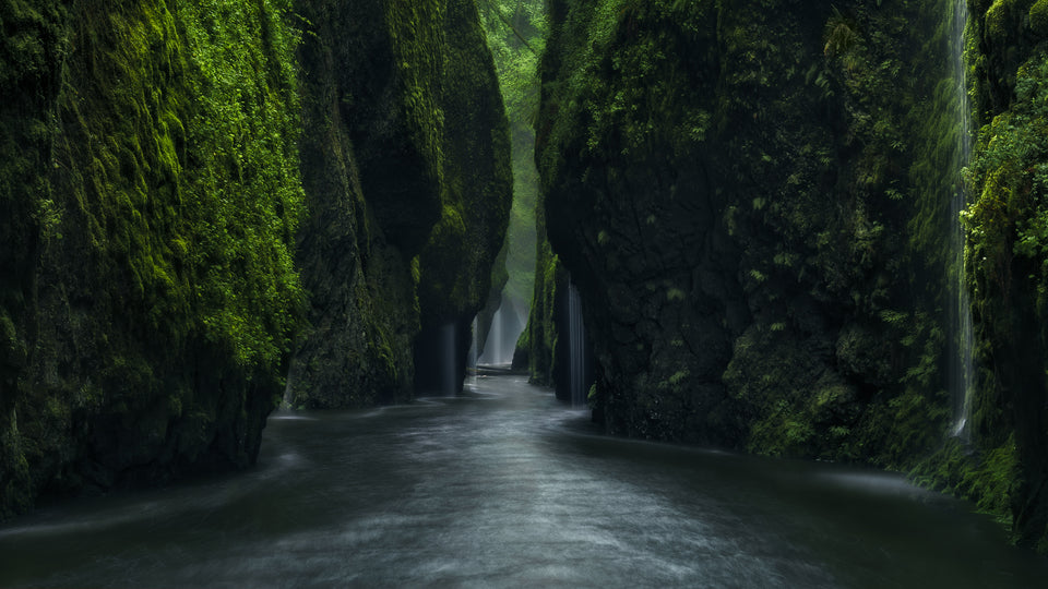 Jurassic Journey