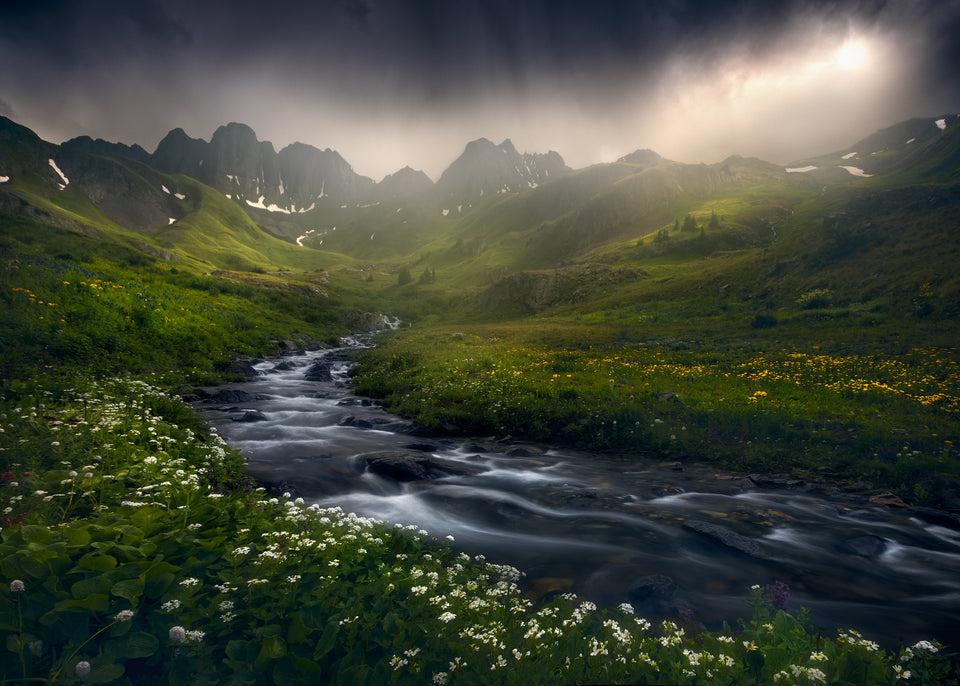 Light Finds A Way