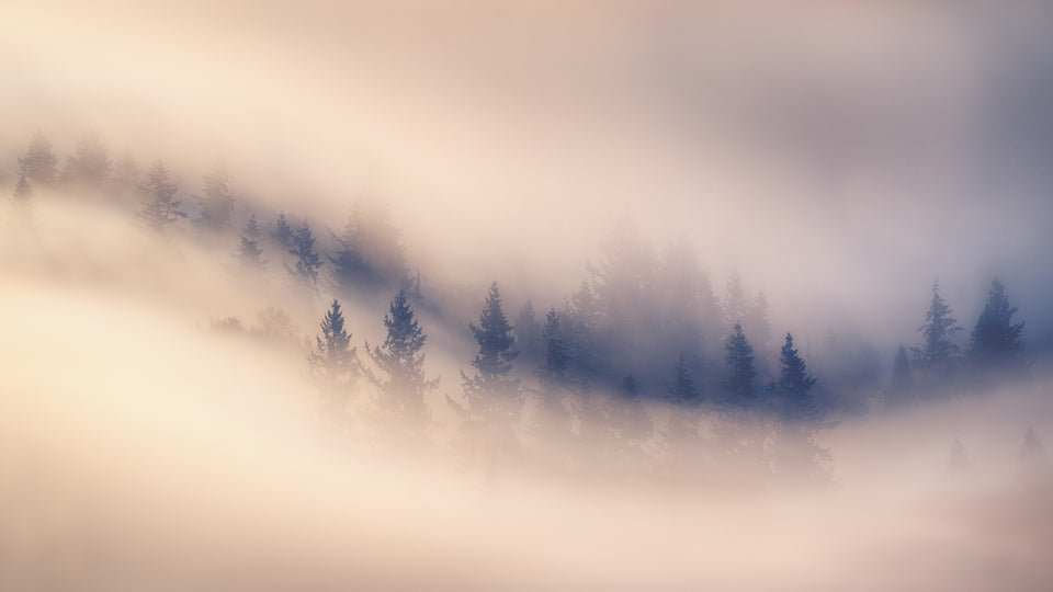 Eye Of Nature